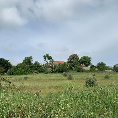 Domaine Le Commandaire Roumoules Bagian luar foto